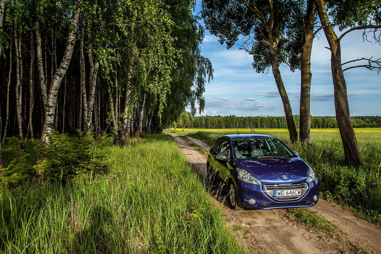 Peugeot 208 sur un chemin de campagne